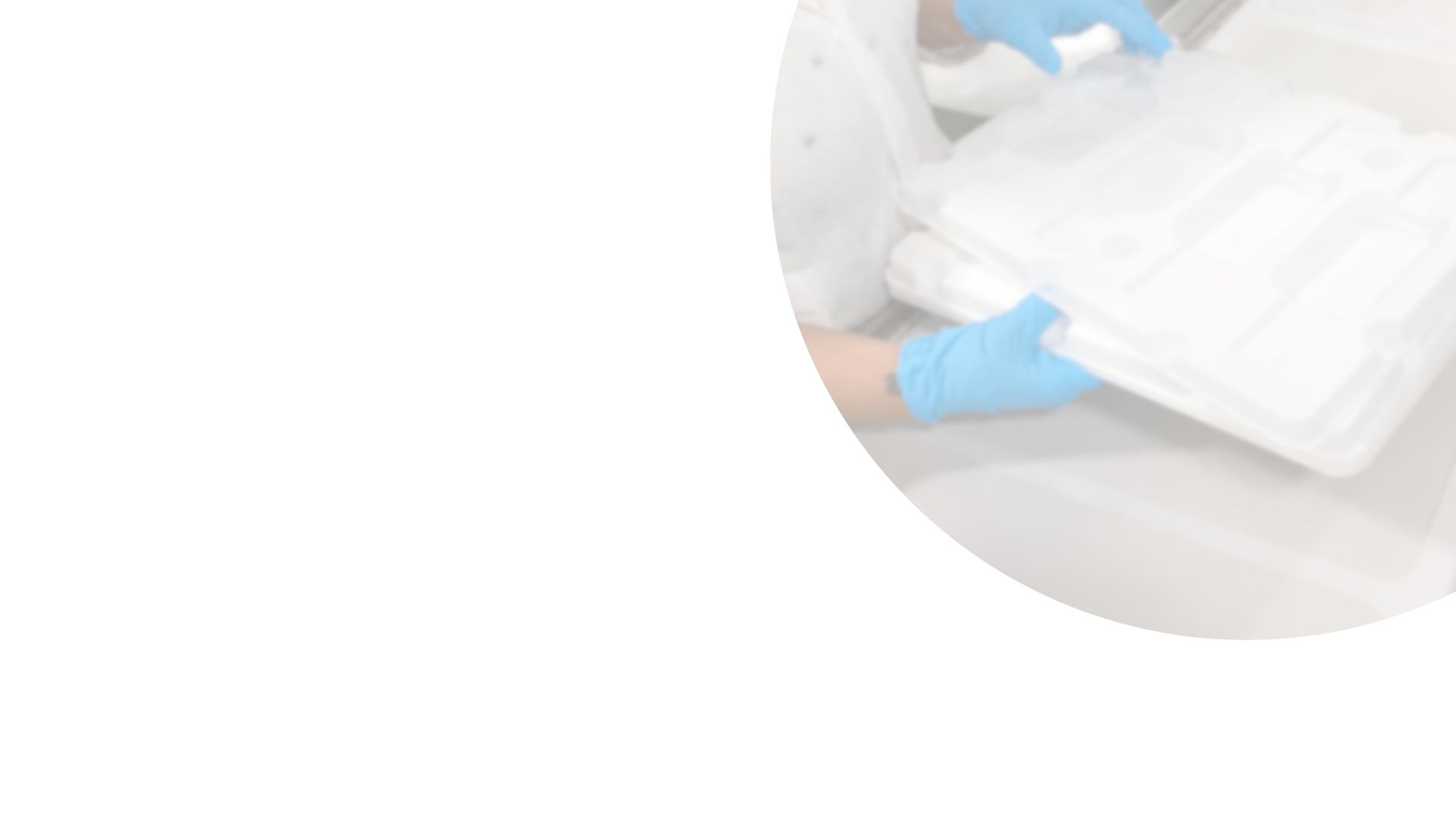 Clamshells,Trays,CustomTrays-elementor-io-optimized